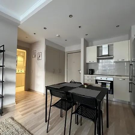 Apartamento Cozy In Kucukcekmece Estambul